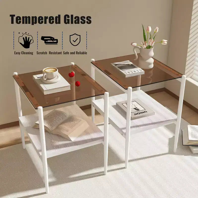 MAYEERTY Set of 2 Rectangle End Table with Tempered Glass Tabletop, for Living Room, Brown Glass
